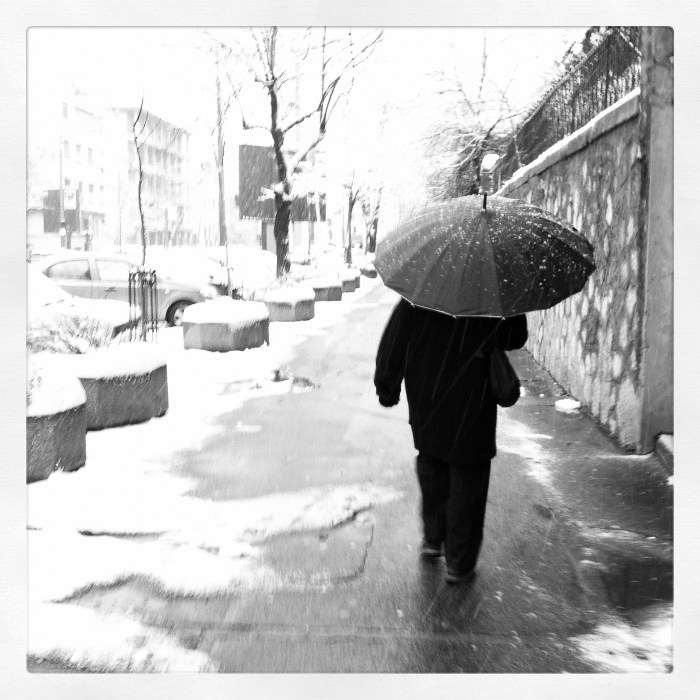 umbrellas of belgrade...