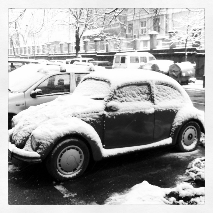 snowbug