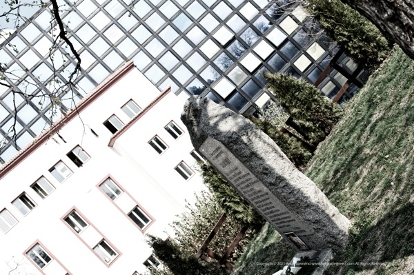 DSC 4349 2737  2012 03 24 at 14 00 37