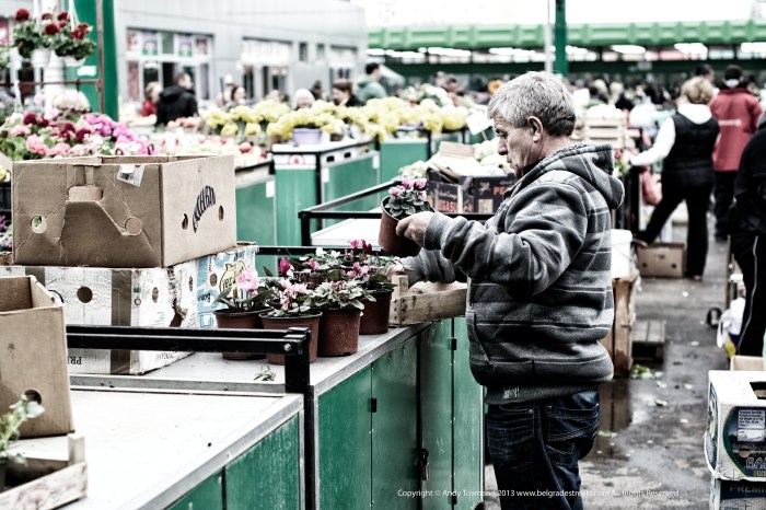 standing and arranging